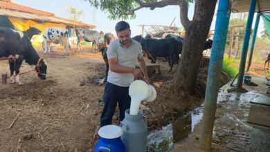 राजनाथ बने आधुनिक पशुपालन से आत्मनिर्भरता की मिसाल, सालाना 10 लाख से अधिक की शुद्ध आय