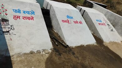 मनरेगा से पनारी नाले का जीर्णोद्धार, 1200 ग्रामीणों को पेयजल व सिंचाई का लाभ