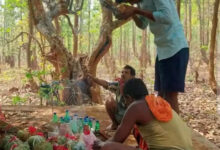 कोंडागांव में श्रद्धा और उत्साह के साथ मनाया गया माटी तिहार