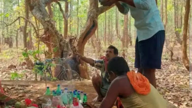 कोंडागांव में श्रद्धा और उत्साह के साथ मनाया गया माटी तिहार