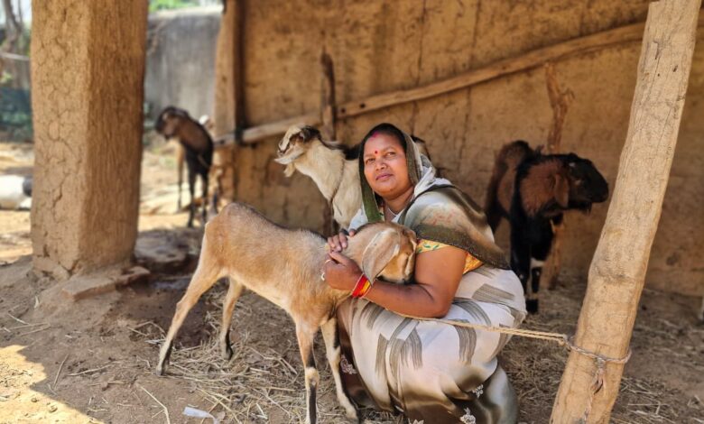 बिहान योजना से बदली जिंदगी: बकरी पालन से इंद्रनिया बाई बनीं लखपति दीदी