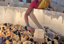 बिहान से बदली जिंदगी: गुंजवती पेगड़ बनीं लखपति दीदी