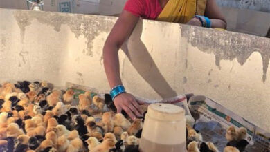 बिहान से बदली जिंदगी: गुंजवती पेगड़ बनीं लखपति दीदी