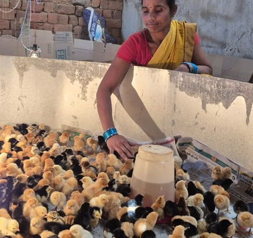 बिहान से बदली जिंदगी: गुंजवती पेगड़ बनीं लखपति दीदी