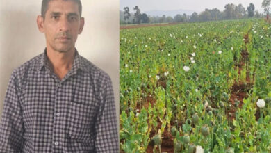 तुर्रीपानी खजुरी में 2 करोड़ की अफीम खेती करने वाला मुख्य सप्लायर झारखंड से गिरफ्तार तुर्रीपानी खजुरी में 2 करोड़ की अफीम खेती करने वाला मुख्य सप्लायर झारखंड से गिरफ्तार