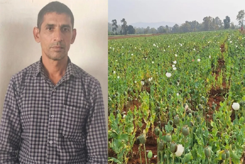 2 करोड़ की अफीम खेती करने वाला सप्लायर झारखंड से गिरफ्तार