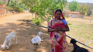 महतारी वंदन योजना से संवर रही पहाड़ी कोरवा परिवारों की तकदीर, बकरी पालन बना आजीविका का सशक्त माध्यम