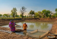 तालाब मेरे लिए केवल एक गड्ढा नहीं, भविष्य की उम्मीद, शासन के 2.75 लाख से 501 आजीविका डबरी का निर्माण