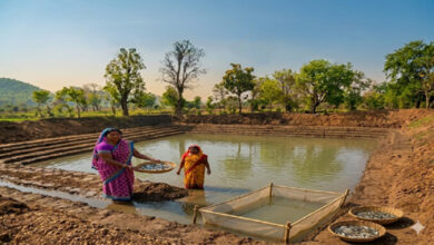 तालाब मेरे लिए केवल एक गड्ढा नहीं, भविष्य की उम्मीद, शासन के 2.75 लाख से 501 आजीविका डबरी का निर्माण