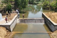 मनरेगा के तहत बने चेक डैम से किसानों को सालभर सिंचाई, आय और रोजगार में वृद्धि