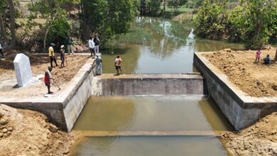मनरेगा के तहत बने चेक डैम से किसानों को सालभर सिंचाई, आय और रोजगार में वृद्धि