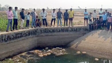 नहर में बहता मिला गांजा, पुलिस ने बरामद किए 17 पैकेट