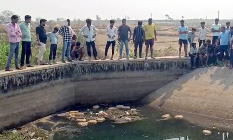 नहर में बहता मिला गांजा, पुलिस ने बरामद किए 17 पैकेट