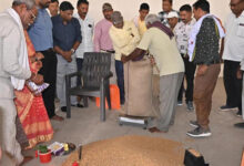 धमतरी में समर्थन मूल्य चना खरीदी ने पकड़ी रफ्तार, 76 हज़ार क्विंटल की हुई खरीदी