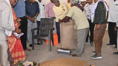 धमतरी में समर्थन मूल्य चना खरीदी ने पकड़ी रफ्तार, 76 हज़ार क्विंटल की हुई खरीदी