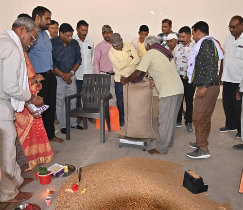 धमतरी में समर्थन मूल्य चना खरीदी ने पकड़ी रफ्तार, 76 हज़ार क्विंटल की हुई खरीदी