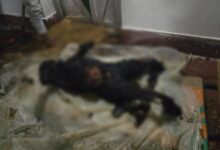 जमीन विवाद में छोटे भाई ने बड़े भाई को जलाकर मार डाला, पुलिस ने आरोपी को हिरासत में लिया