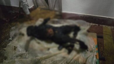 जमीन विवाद में छोटे भाई ने बड़े भाई को जलाकर मार डाला, पुलिस ने आरोपी को हिरासत में लिया