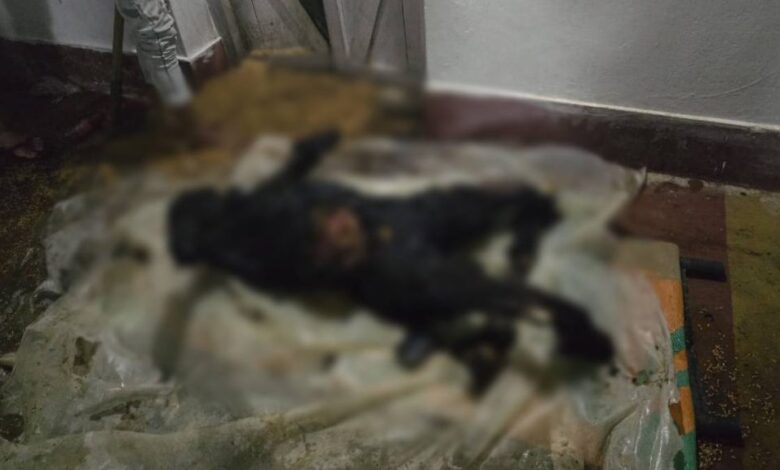 जमीन विवाद में छोटे भाई ने बड़े भाई को जलाकर मार डाला, पुलिस ने आरोपी को हिरासत में लिया