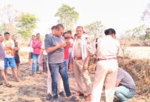 बालोद में सनसनी: खेत में एक ही पेड़ से मिले महिला और युवक के शव