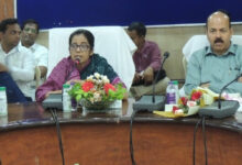 हरी खाद, नील हरित शैवाल और जैव उर्वरक पूरी करेंगे रासायनिक उर्वरकों की कमी