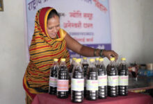 आत्मनिर्भरता की मिसाल : औराटोला बना बालोद का पहला लखपति दीदी ग्राम