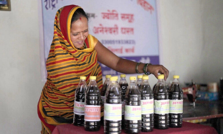 आत्मनिर्भरता की मिसाल : औराटोला बना बालोद का पहला लखपति दीदी ग्राम आत्मनिर्भरता की मिसाल : औराटोला बना बालोद का पहला लखपति दीदी ग्राम