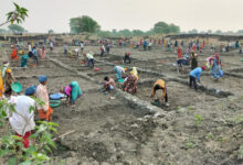 सर्वाधिक परिवारो, मानव दिवस सहित दिव्यांगजनों को रोजगार देने के मामले में कबीरधाम प्रदेश में प्रथम स्थान पर