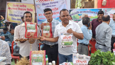 लैलूंगा की पहचान बना केलो जैविक जंवाफूल चावल, बेंगलुरु से कारगिल तक पहुंच रहा सुगंधित चावल