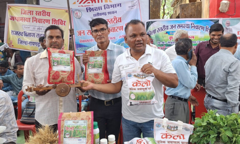 लैलूंगा की पहचान बना केलो जैविक जंवाफूल चावल, बेंगलुरु से कारगिल तक पहुंच रहा सुगंधित चावल