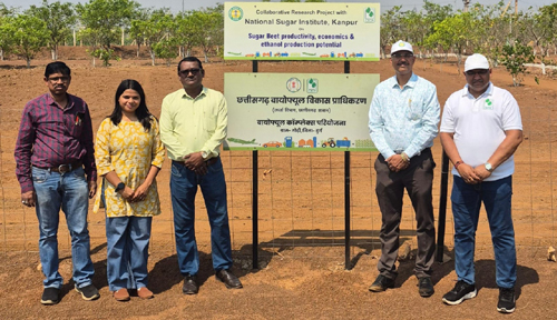 शुगरबीट की किस्म एलएस-6 की खेती एवं गन्ना के साथ अंतफसली पर अनुसंधान प्रारंभ