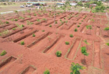 जल संरक्षण की दिशा में दुर्ग जिले की बड़ी उपलब्धि, 15 दिनों के भीतर 32058 रेन वाटर हार्वेस्टिंग का निर्माण पूर्ण