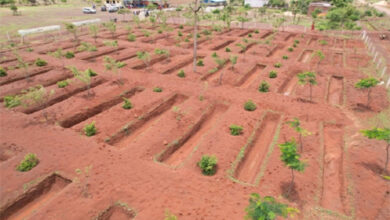 जल संरक्षण की दिशा में दुर्ग जिले की बड़ी उपलब्धि, 15 दिनों के भीतर 32058 रेन वाटर हार्वेस्टिंग का निर्माण पूर्ण