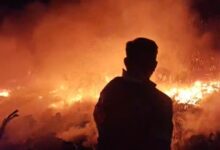 कबाड़ी दुकान में भीषण आग