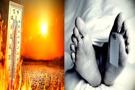 लू से मृत्यु पर शासन की संवेदनशीलता: बलौदाबाजार कलेक्टर ने स्वीकृत की 4 लाख की सहायता