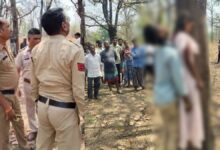 प्रेमी जोड़े ने एक ही पेड़ पर लगाई फांसी