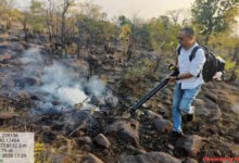नई तकनीक व रणनीति से जंगल की आग पर 80 फीसदी तक पाया काबू