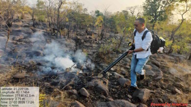 नई तकनीक व रणनीति से जंगल की आग पर 80 फीसदी तक पाया काबू नई तकनीक व रणनीति से जंगल की आग पर 80 फीसदी तक पाया काबू