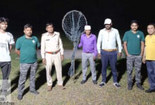 जिंदल कॉलोनी में घूमते दिखा तेंदुआ