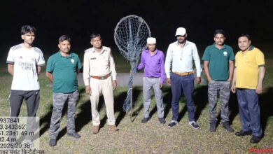 जिंदल कॉलोनी में घूमते दिखा तेंदुआ