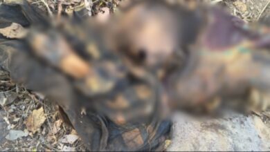 जंगल में सडी गली लाश मिली