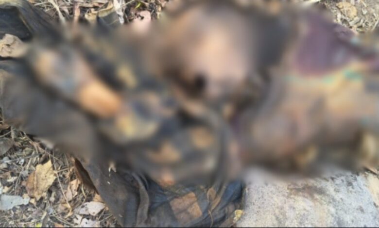 जंगल में सडी गली लाश मिली