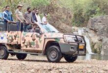 भोरमदेव अभ्यारण्य में जल्द शुरू होगी जंगल सफारी