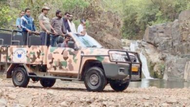 भोरमदेव अभ्यारण्य में जल्द शुरू होगी जंगल सफारी