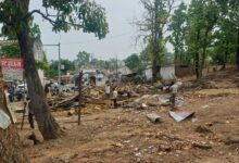 वनभूमि को कराया अतिक्रमणमुक्त, प्रभावितों ने लगाए गंभीर आरोप