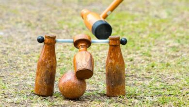 20वीं सीनियर व 14वीं जूनियर राष्ट्रीय वुडबॉल चैंपियनशिप 14 से 17 मई तक 20वीं सीनियर व 14वीं जूनियर राष्ट्रीय वुडबॉल चैंपियनशिप 14 से 17 मई तक