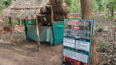 वन विकास निगम की अनूठी पहल : सार्वजनिक प्याऊ से प्यास भी बुझा रहे, जंगलों को आग से भी बचा रहे वन विकास निगम की अनूठी पहल : सार्वजनिक प्याऊ से प्यास भी बुझा रहे, जंगलों को आग से भी बचा रहे