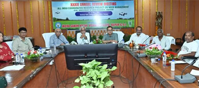 फसलों को खरपतवार से होने वाले नुकसान को नियंत्रित करने के लिए कृषि वैज्ञानिकों ने बनाई रणनीति