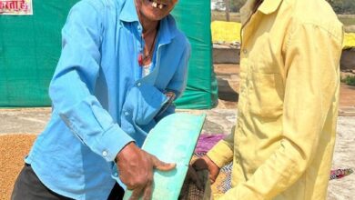 धमतरी का गौरव विश्व की सबसे बड़ी अनाज भंडारण योजना में बनाया कीर्तिमान, प्रदेश के कुल चने का 50 प्रतिशत अकेले खरीदा