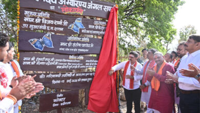 भोरमदेव मंदिर के समीप करियाआमा से शुरू होगी 36 किमी की भोरमदेव जंगल सफारी